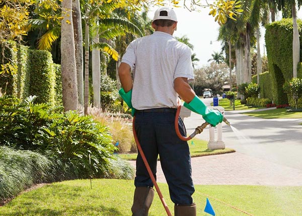 About Paupack PA Pest Control